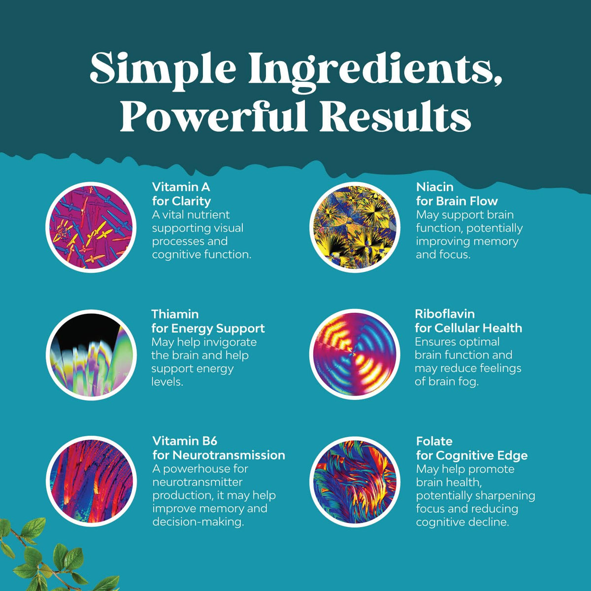 Premium nootropic brain booster capsules for clarity and cognitive health
