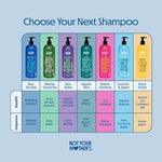 Antioxidant rich matcha green tea hair wash set close up view