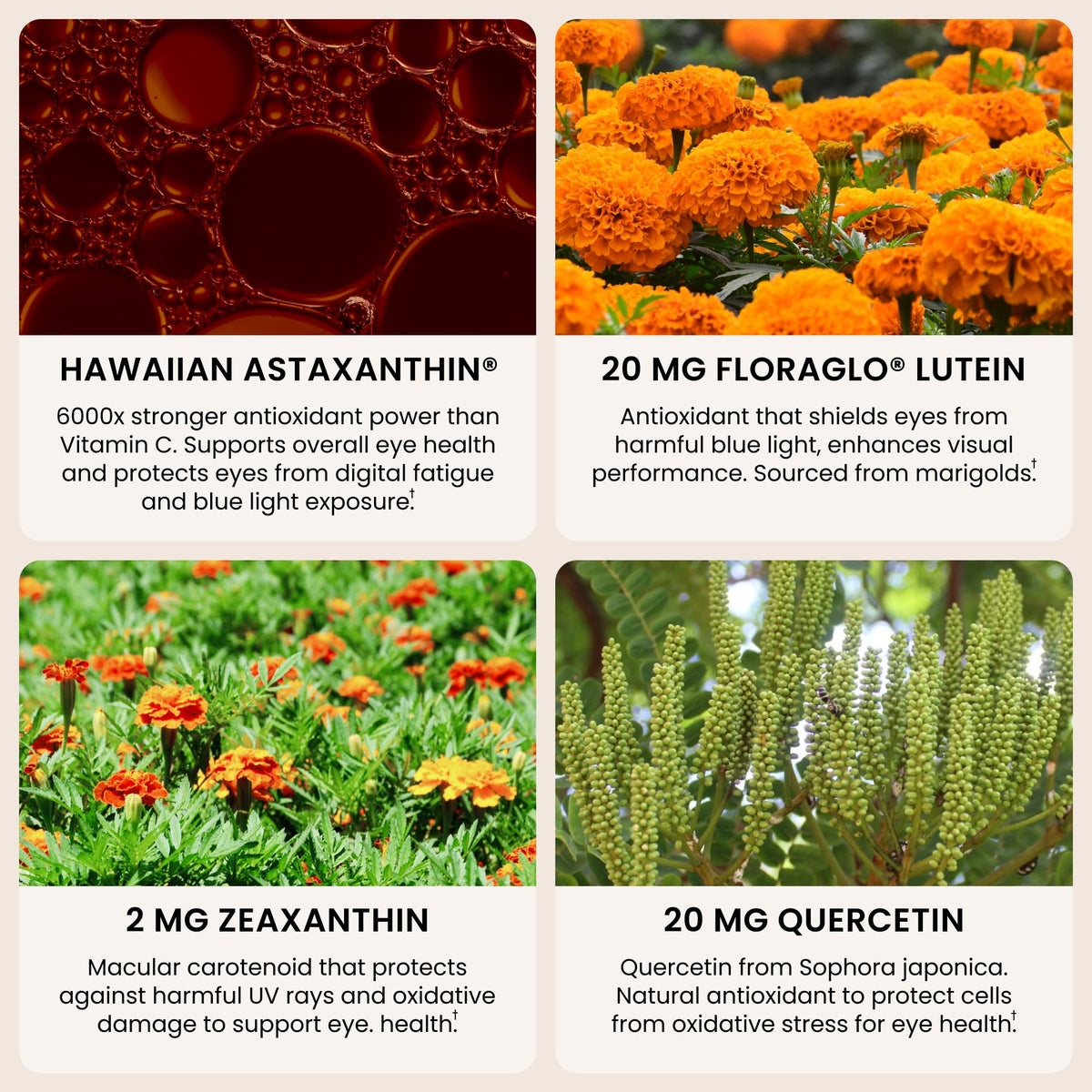 Nutrex EyeAstin eye health dietary supplement with Hawaiian Astaxanthin and Lutein on plain background.