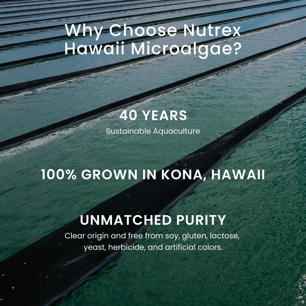 Nutrex Hawaii EyeAstin 60 count bottle highlighting the FloraGLO lutein logo and ingredient quality.
