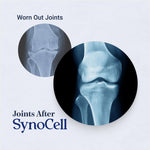 Synocell joint supplement bottle label details