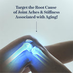 Premium Synocell joint support supplement bottle on display