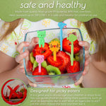 Eco-friendly reusable food picks for picky eaters spread out on a clean kitchen countertop.