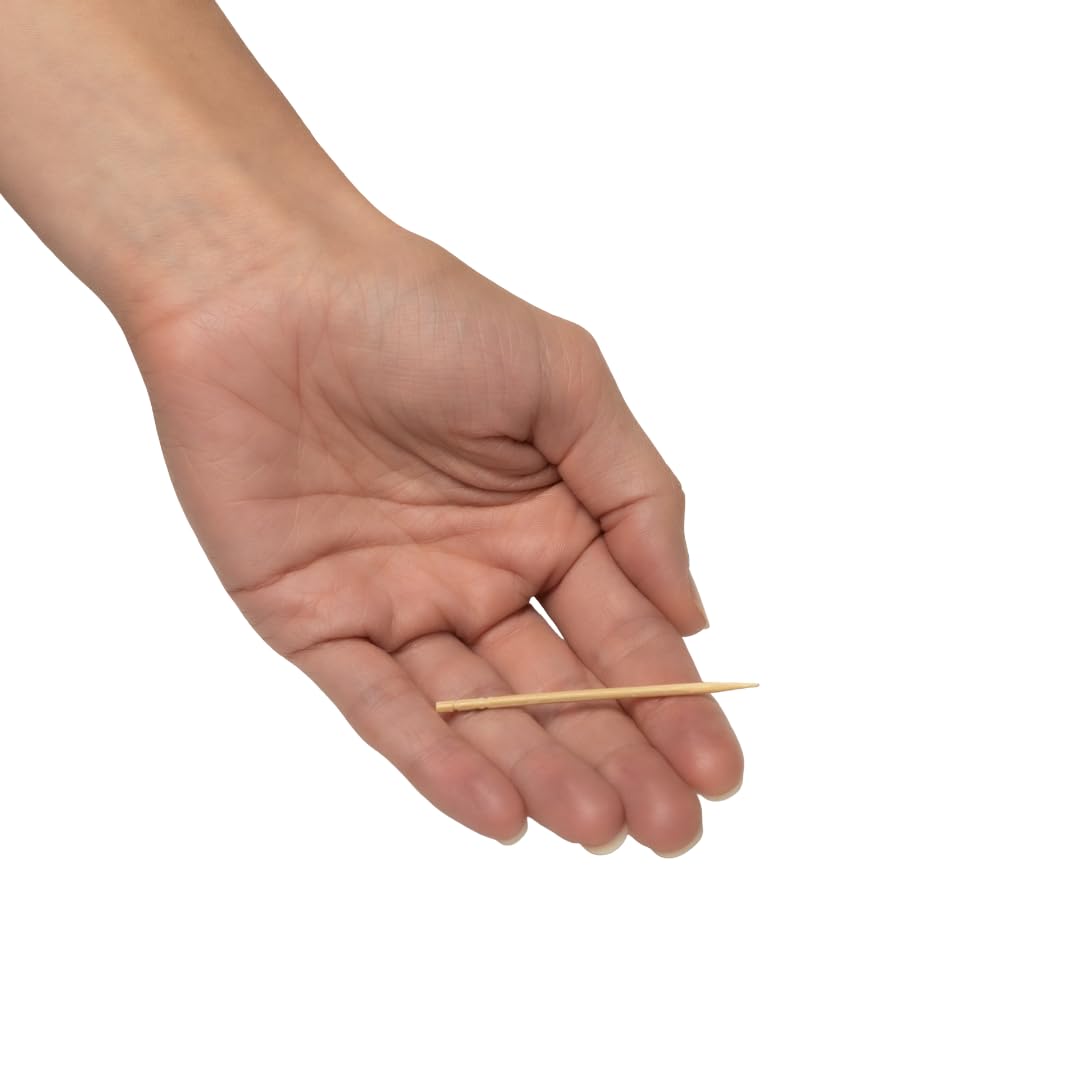 Biodegradable single use round toothpicks container top view opening