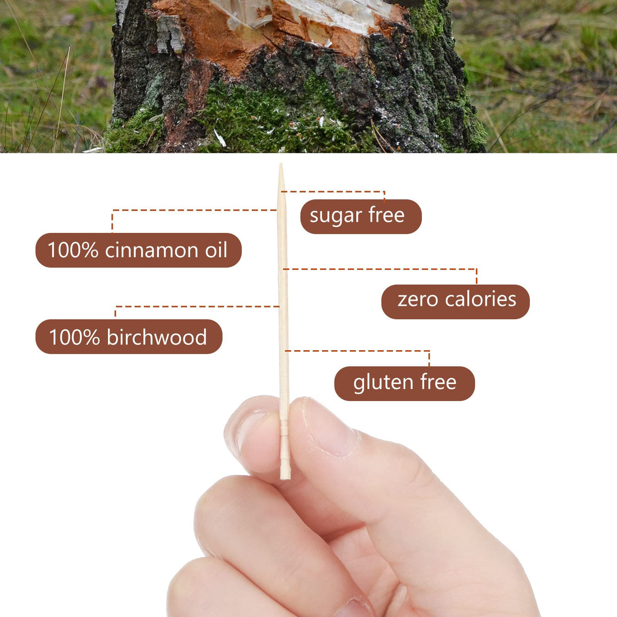 Person taking an authentic Mumufy cinnamon flavored wooden pick out of its transparent storage box