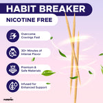 PurePix nicotine free extra thick birchwood toothpicks five flavors collection