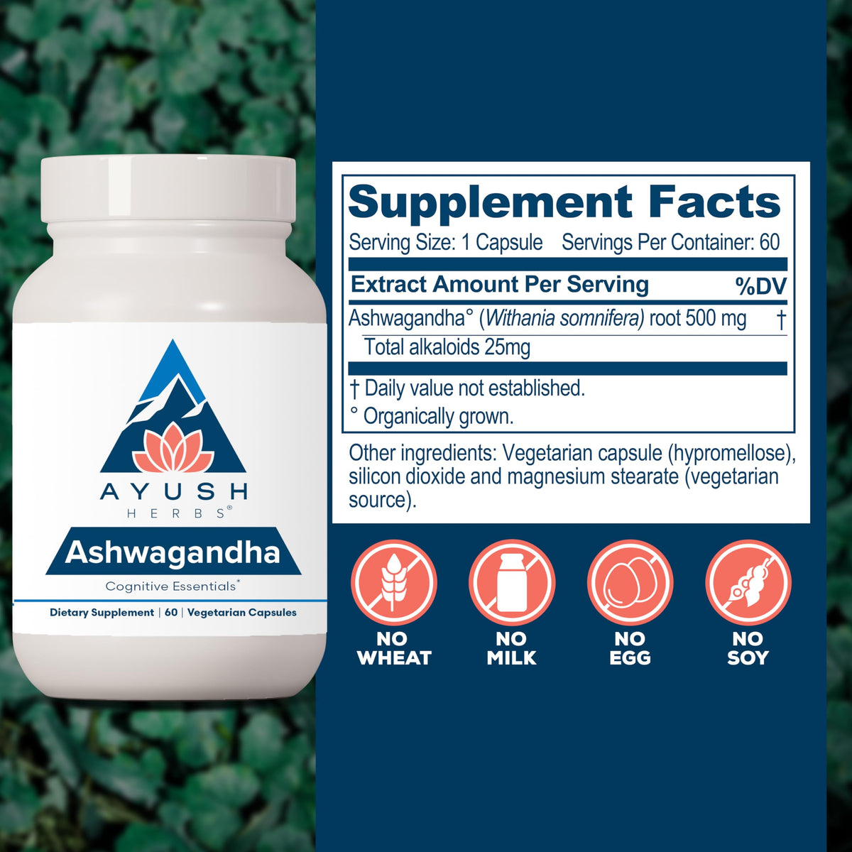 Ayush Herbs Ashwagandha organic root extract supplement for mental focus