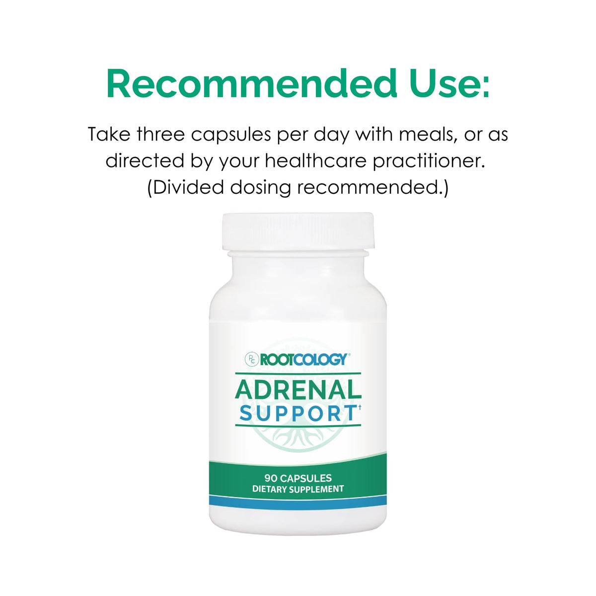 Close up of Rootcology Adrenal Support bottle for stress and fatigue management.