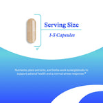 Seeking Health Stress Nutrients supplement facts panel highlighting Vitamin C and Zinc dosages.
