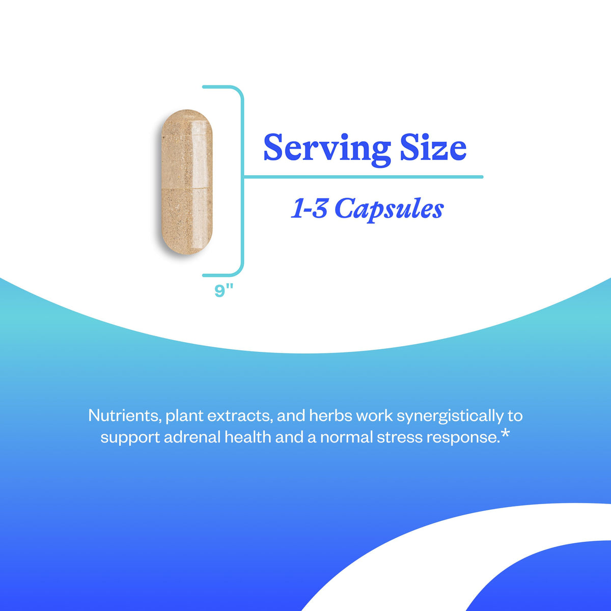 Seeking Health Stress Nutrients supplement facts panel highlighting Vitamin C and Zinc dosages.