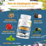 Side view of Tervaies cortisol supplement bottle showing nutritional facts and vegan-friendly certifications.
