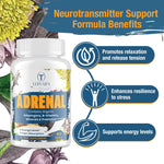 Authentic Tervaies imported herbal supplement bottle displayed with natural adaptogenic herbs background.