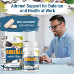 Tervaies mood and energy support tablets container highlighting high-absorption adaptogens for daily wellness.