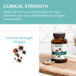 Close up of pure Guggul extract supplement by Himalaya showing clear vegetarian packaging details