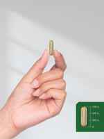 Horbaach desiccated beef liver 90 quick release capsules lifestyle view