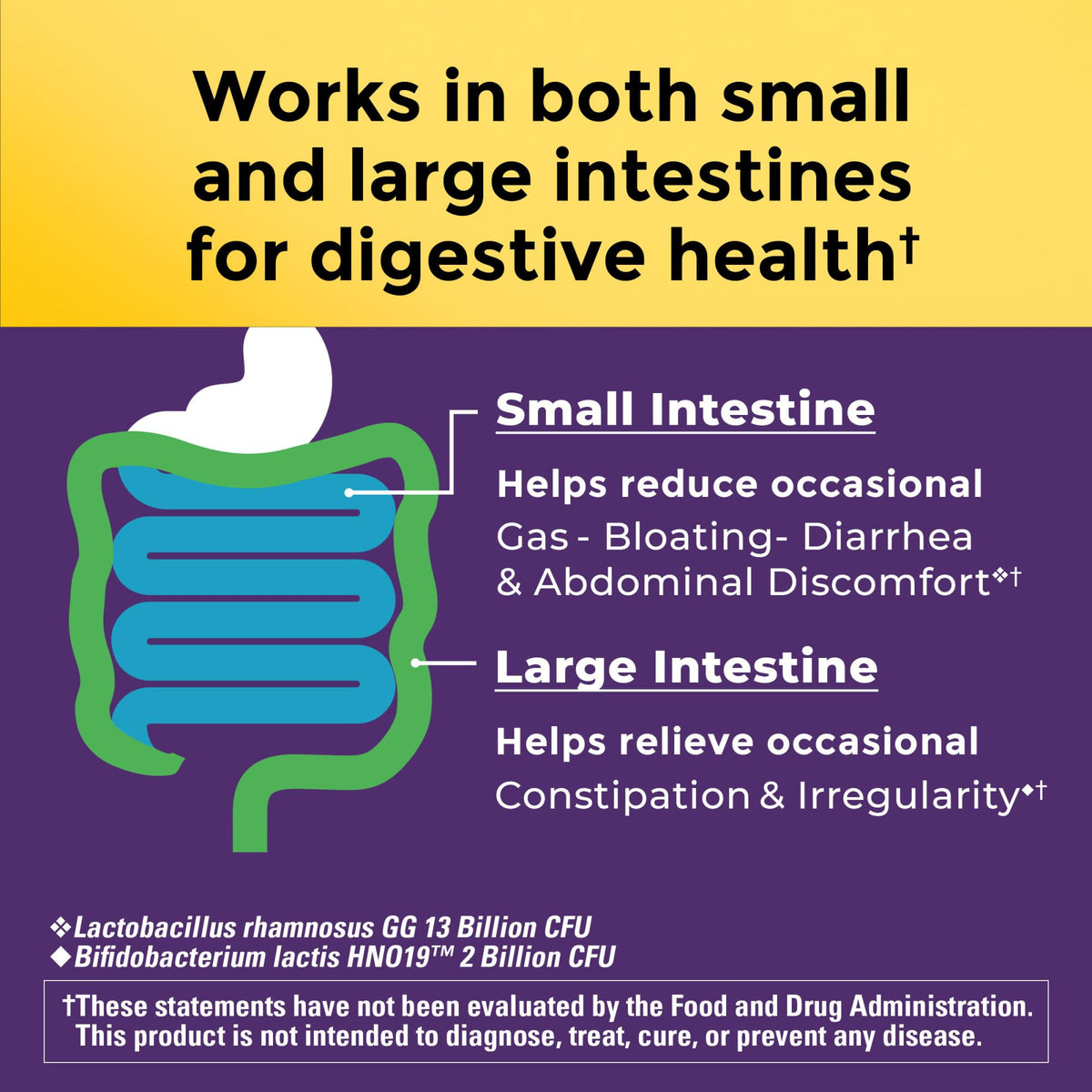 Authentic USA imported Nature Made gut health capsules displayed on a clean wellness-themed backdrop.