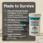Back label view of NatureWise daily probiotic supplement outlining the 60 billion colony forming units ingredient breakdown.