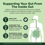 Close up of the high quality 240 tablets bottle of Natural Foundation probiotics.