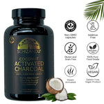Schizandu Organics charcoal pills supplement facts label showing steam activated coconut shell powder