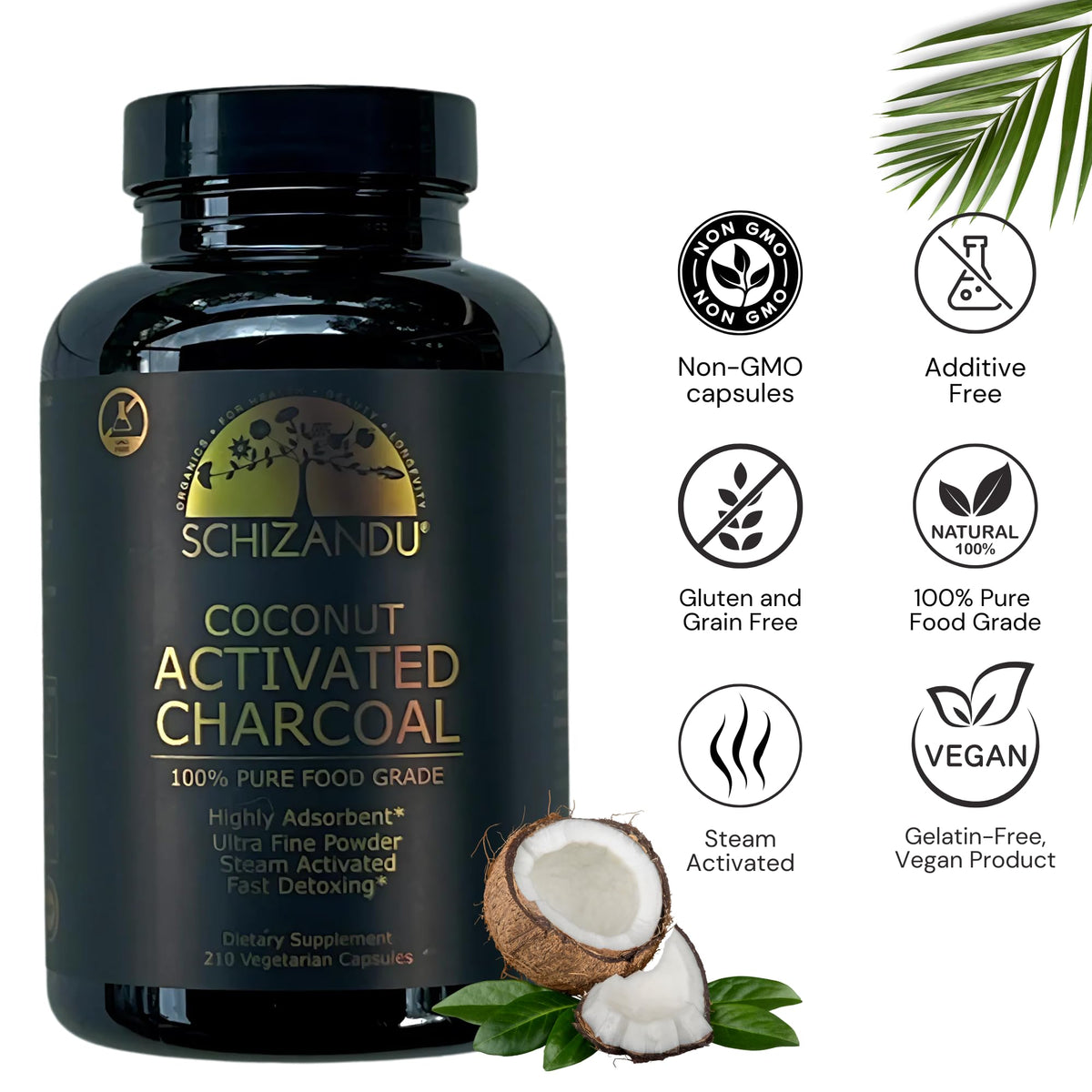 Schizandu Organics charcoal pills supplement facts label showing steam activated coconut shell powder