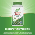 Close up of the non-GMO and gluten-free certifications on the seaweed supplement packaging