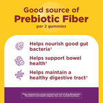 Nature Made LactoSpore Bacillus coagulans premium wellness supplement nutritional facts label