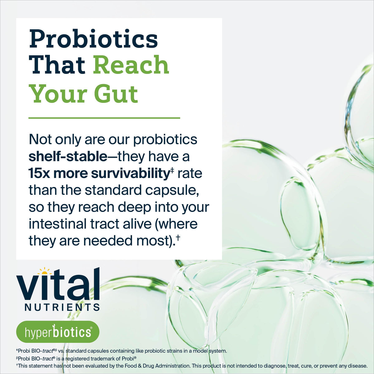 Hyperbiotics vital nutrients organic prebiotic supplement certified organic seal