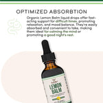 Side angle view of Double Wood alcohol free lemon balm tincture for relaxation