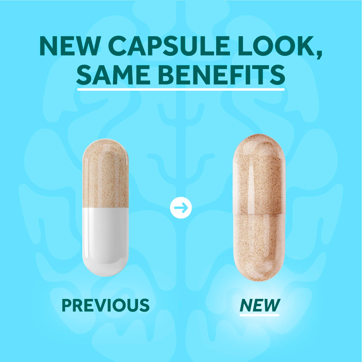 Detailed product packaging of Neuriva Plus nootropics