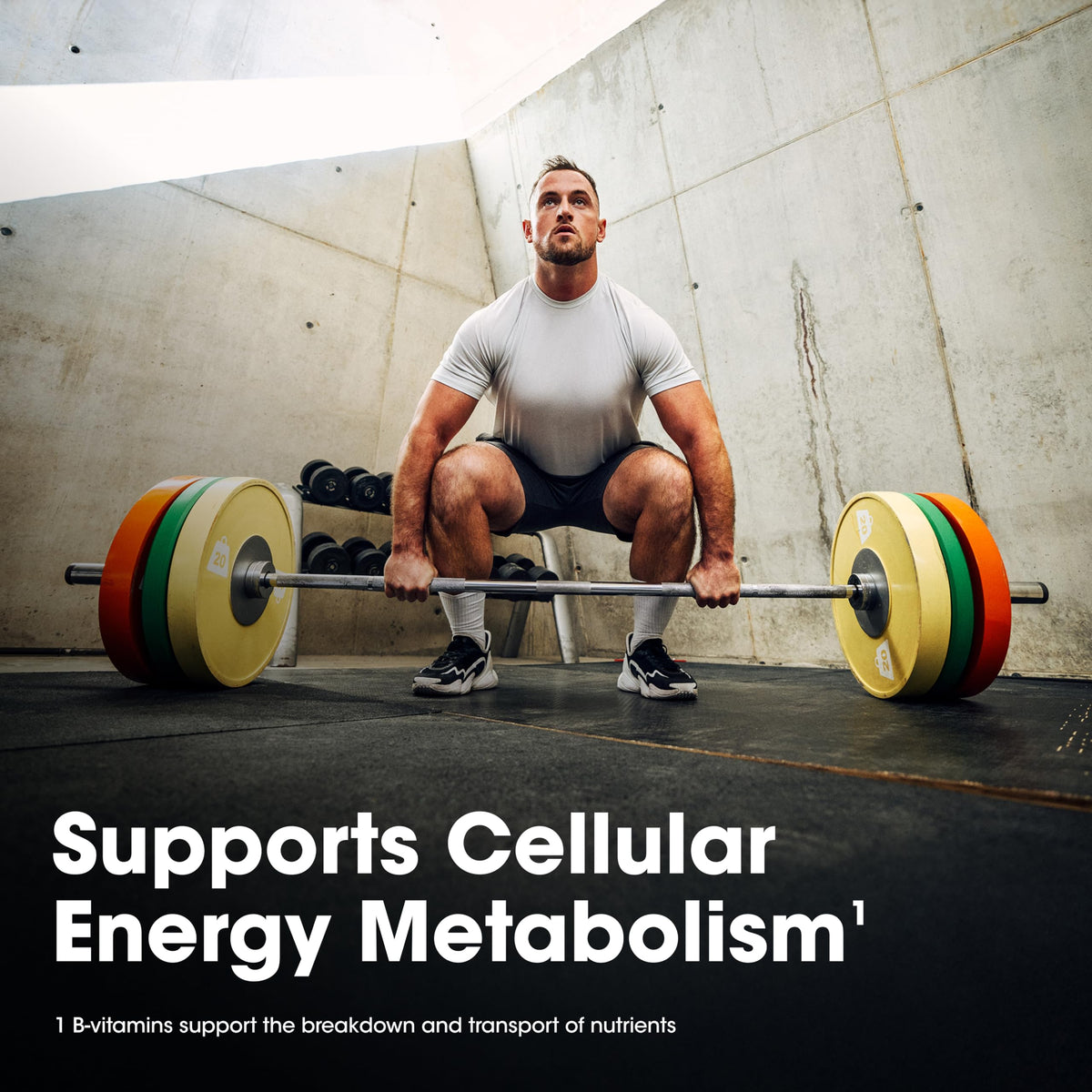 Opti-Men USA imported health supplement bottle
