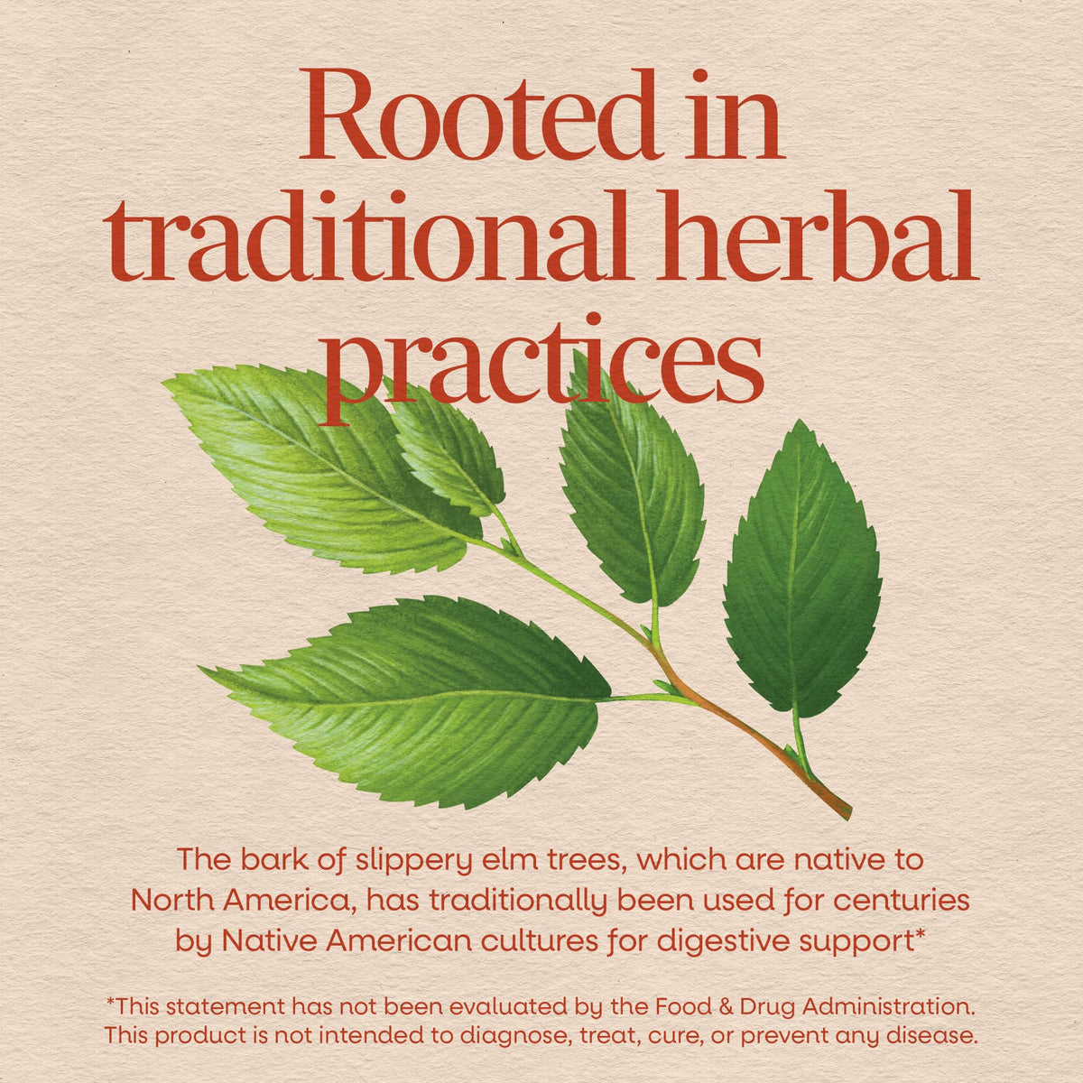 Nature's Way Slippery Elm Bark vegan capsules packaging