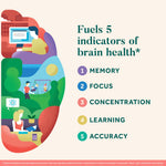 Neuriva brain health supplement bottle with ingredient labels