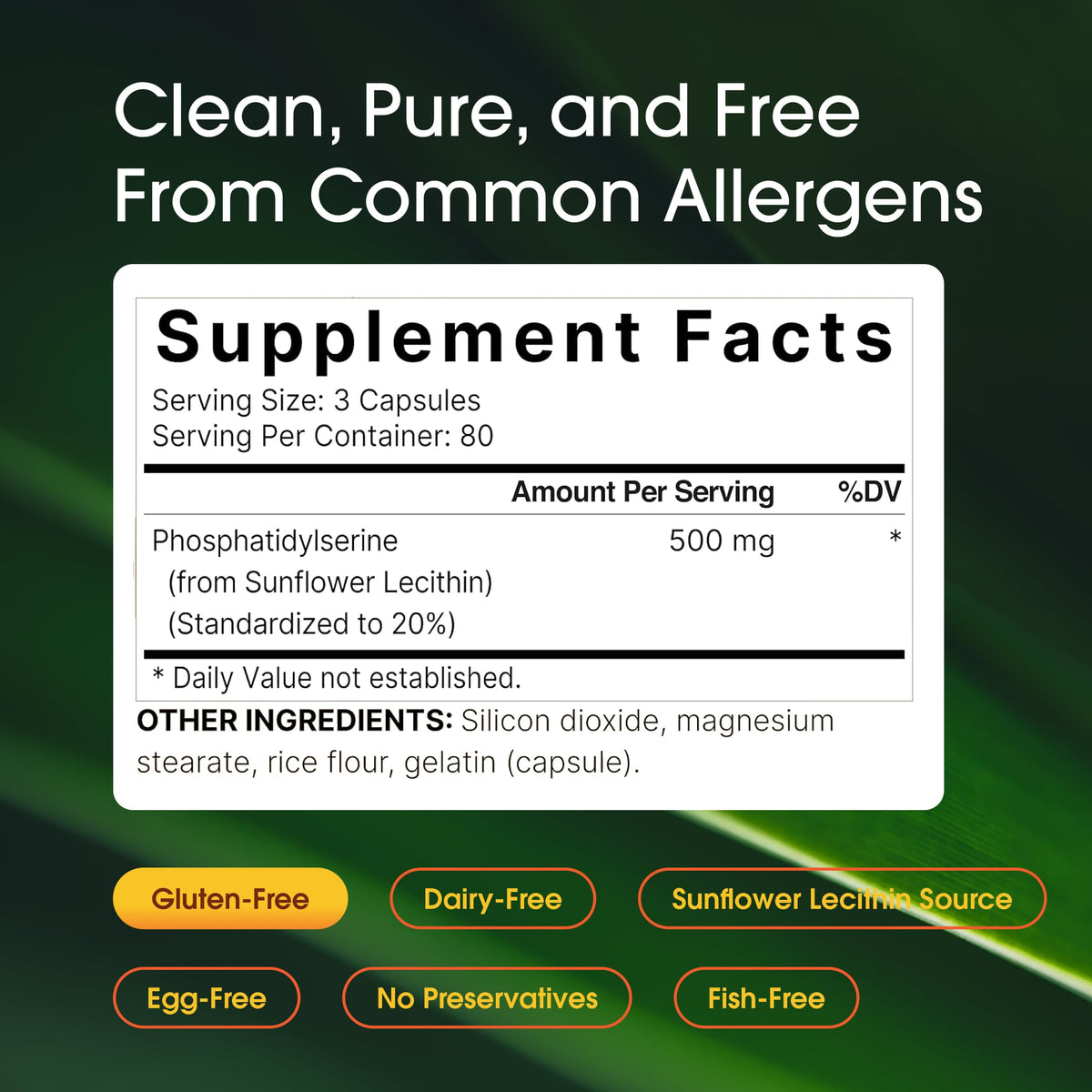Side view of NatureBell non GMO soy free phosphatidylserine capsules bottle