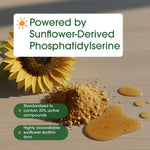 Authentic USA imported NatureBell phosphatidylserine 240 capsules container