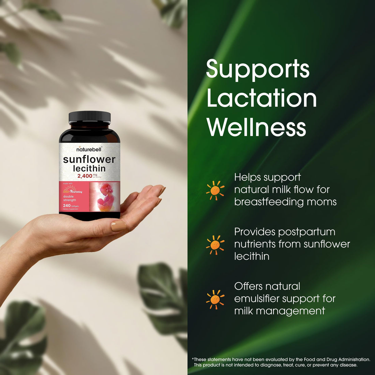 Soy free and non GMO lecithin capsules for liver health support