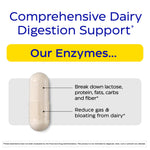 Enzymedica Lacto Maximum Strength digestive enzyme supplement bottle showcasing dual action thera-blend logo