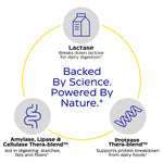 Enzymedica Lacto capsules bottle highlighting vegan and kosher certified clean formulation labels