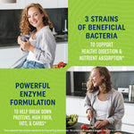 Premium gut health supplement with Lactobacillus probiotic strains and triple enzyme blend.