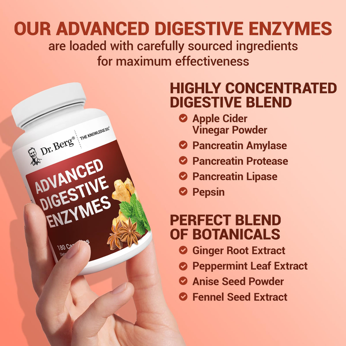 Dr Berg stomach acid balance capsules with ginger root and peppermint leaf detail