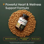 NatureBell Nattokinase supplement bottle displaying supplement facts panel and ingredients