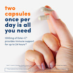 Authentic USA imported twenty-four hour immune support dietary supplement