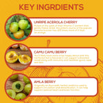 Paleovalley dietary supplement bottle demonstrating authentic USA sourcing details and manufacturer certifications.