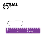 Authentic Bluebonnet Nutrition Vitamin K2 capsule display showcasing easy to swallow size