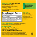 Nature Made Vitamin B1 100 milligram 100 count bottle displaying nutritional clarity