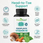 ForestLeaf high potency riboflavin 400mg supplement supplement facts label detail