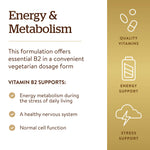 Solgar Vitamin B2 dietary supplement bottle showing non GMO and gluten free seals