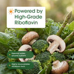 Riboflavin 400mg neurological health supplement container macro shot