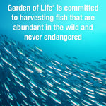 Premium prenatal fish oil softgels by Garden of Life for baby brain development