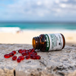 Authentic NutraMedix USA imported red krill oil 500 milligrams close up view