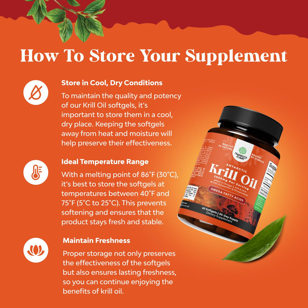 Imported Natures Craft omega 3 krill oil bottle with premium packaging details.